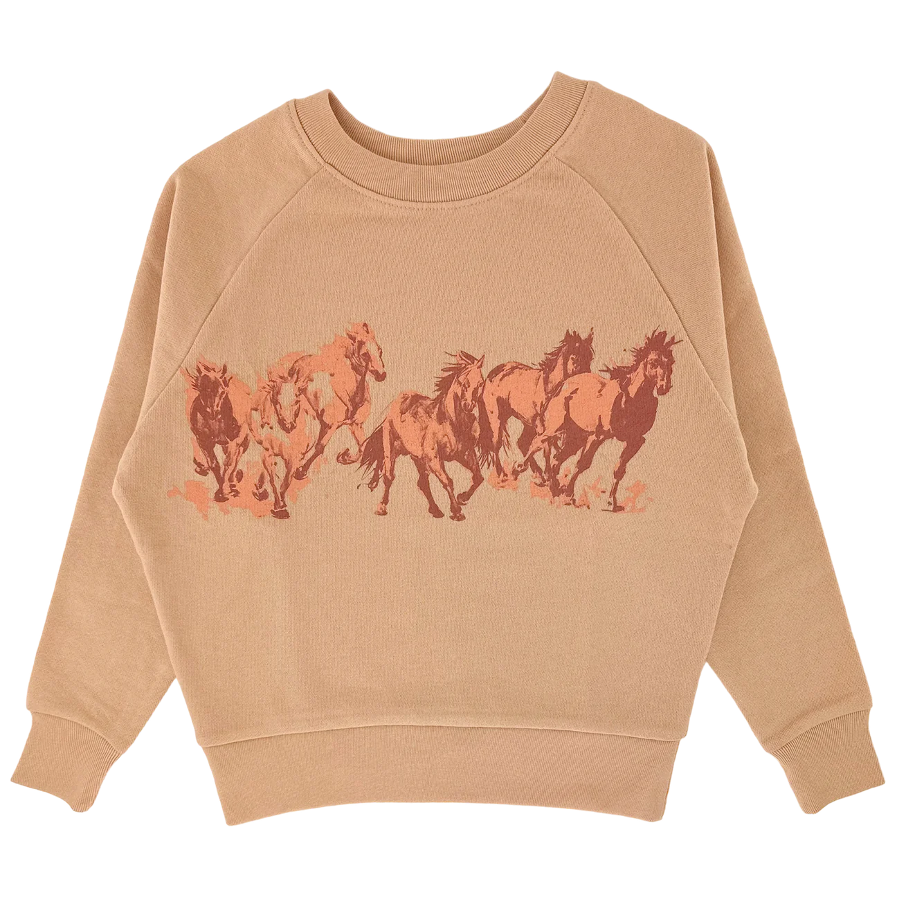 Wild Horses Pullover