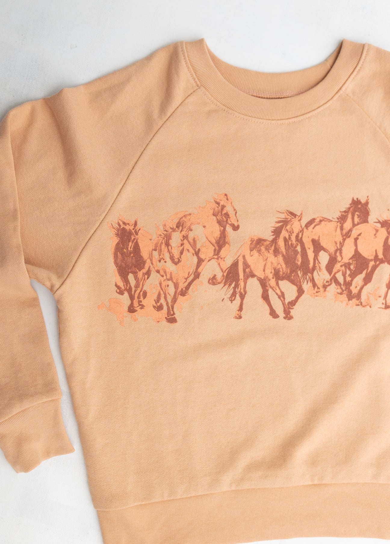 Wild Horses Pullover