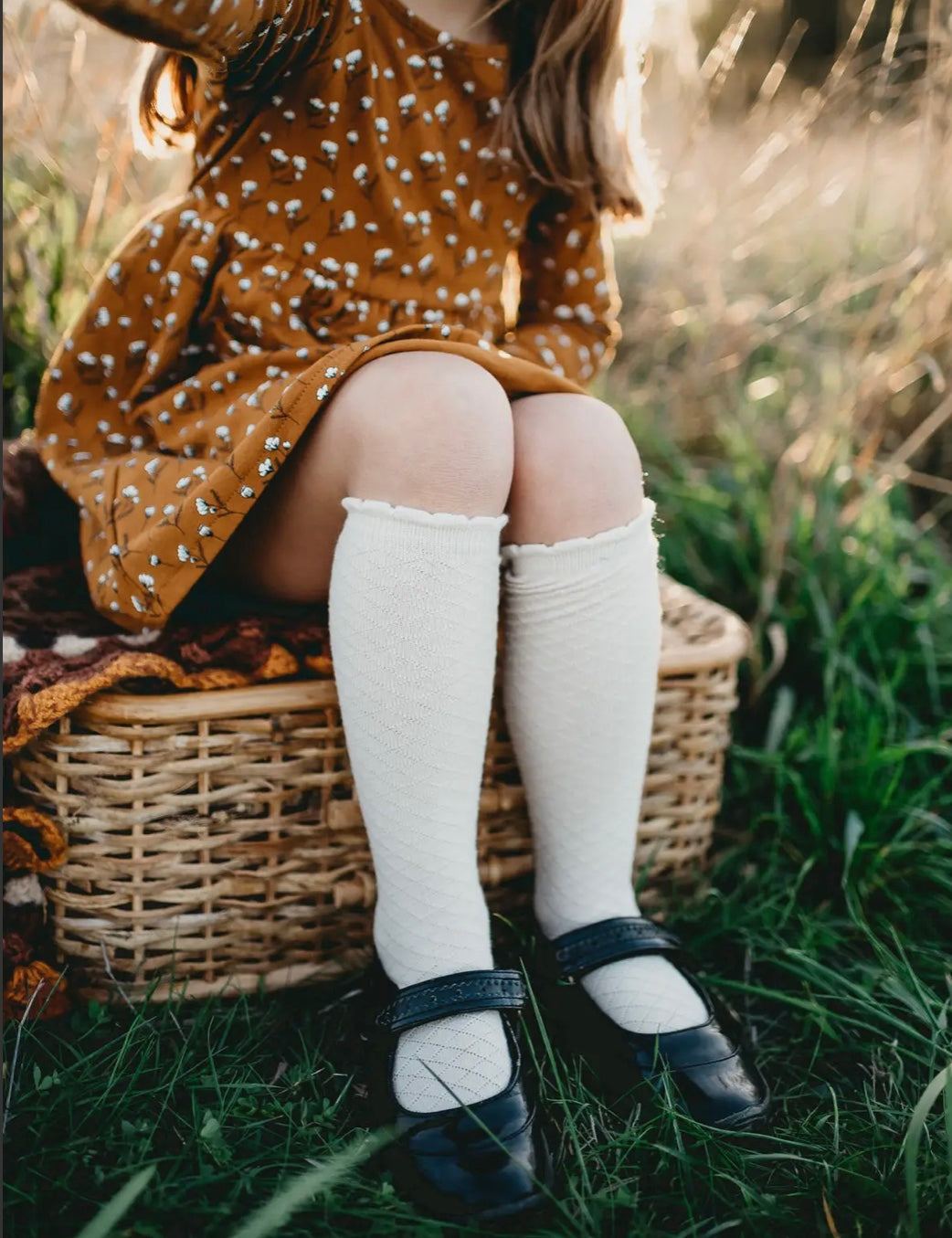 Picnic Knee-High Socks - Macaroon